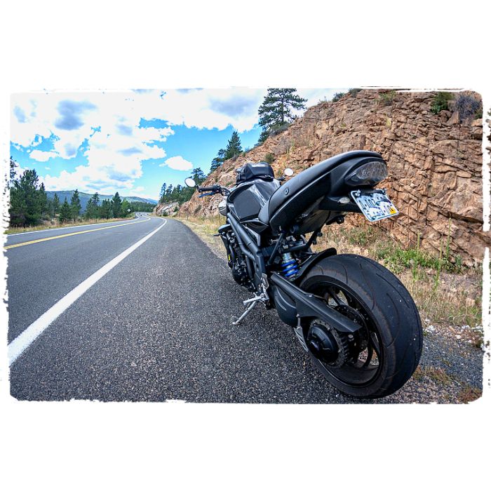 Techspec 62-0067-SS Snake Skin Tank Grips (Triumph Speed Triple 2005-2010)