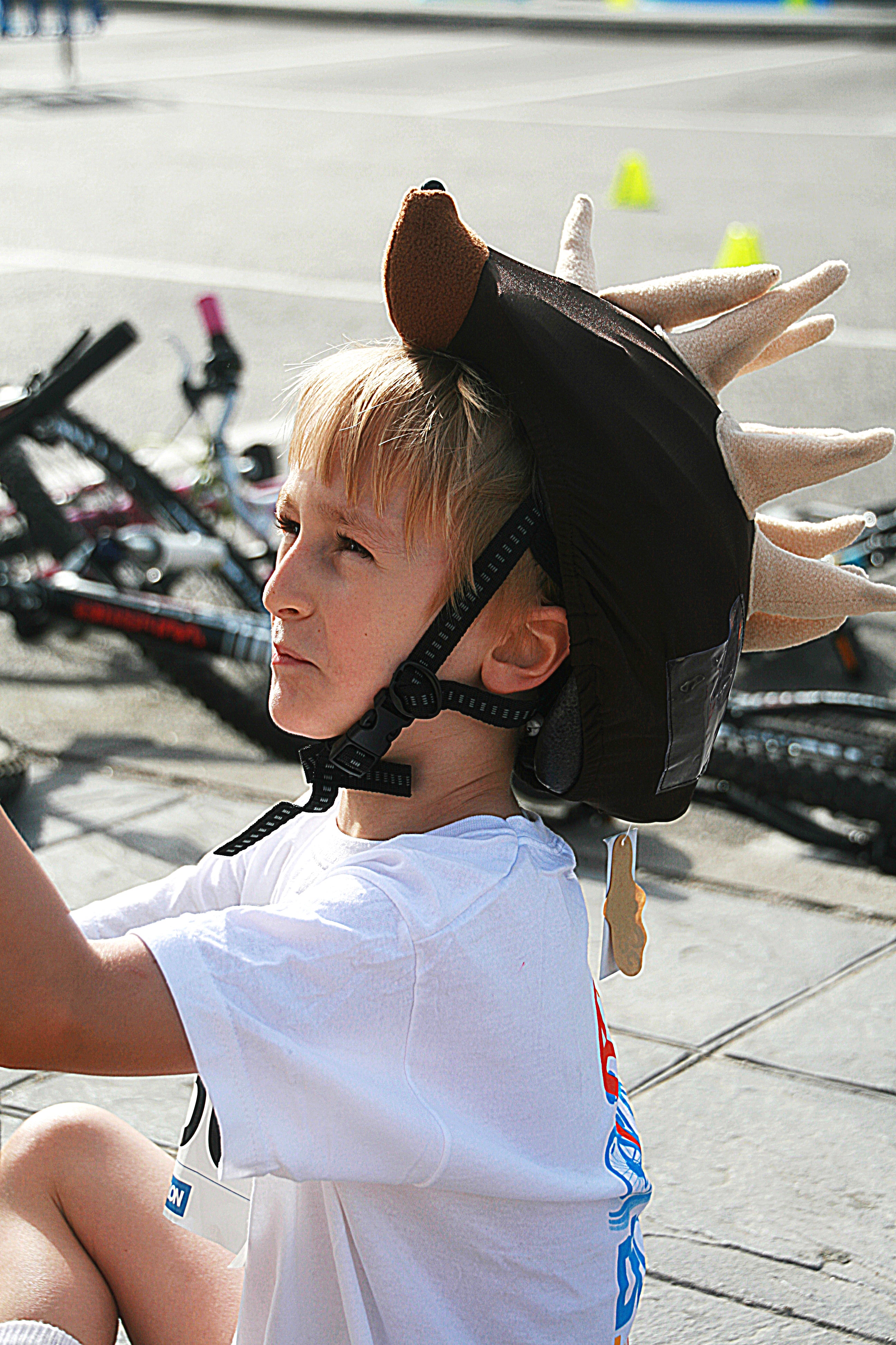 Coolcasc Hedgehog Helmet Cover
