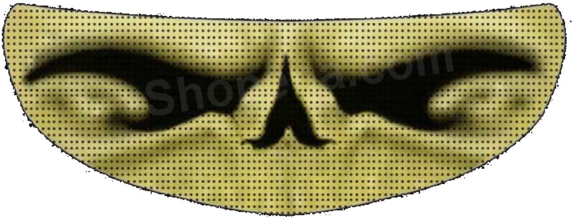 Skullskins Bones Motorcycle Helmet Shield Sticker