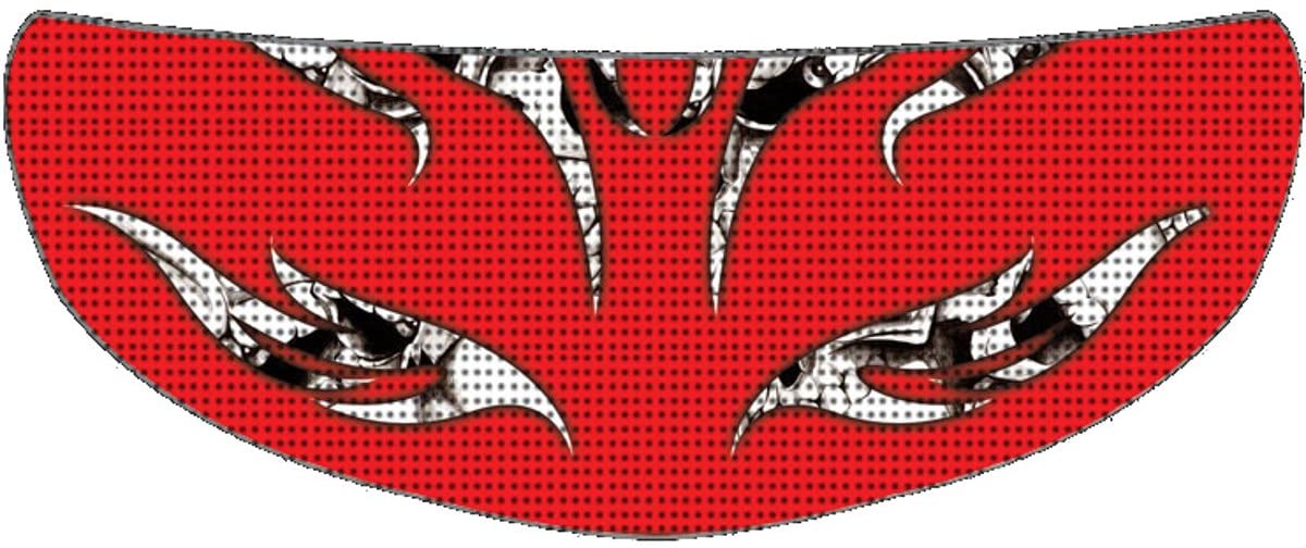 Skullskins Deadly Flames Motorcycle Helmet Shield Sticker