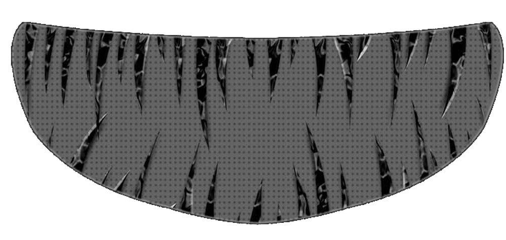 Skullskins Evil Raider Motorcycle Helmet Shield Sticker