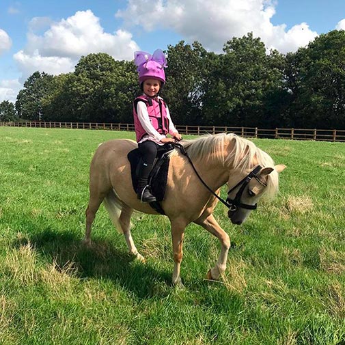 Coolcasc Fairy LED Helmet cover