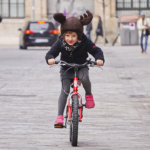 Coolcasc Elk Moose Helmet Cover