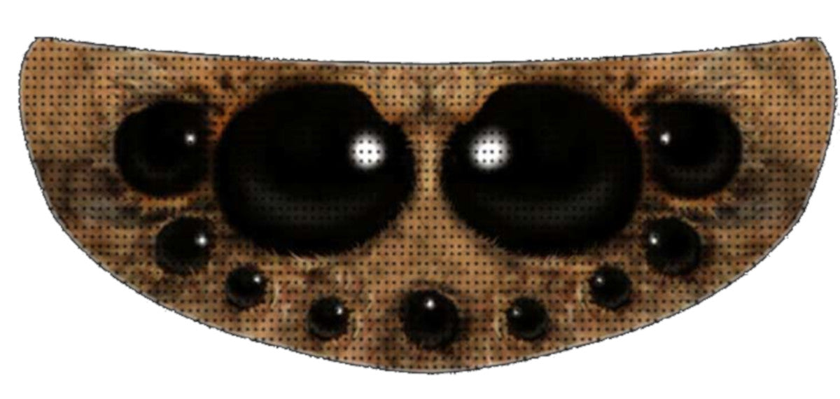 Skullskins Spider Motorcycle Helmet Shield Sticker