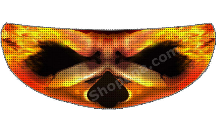 Skullskins Skin On Fire Motorcycle Helmet Shield Sticker