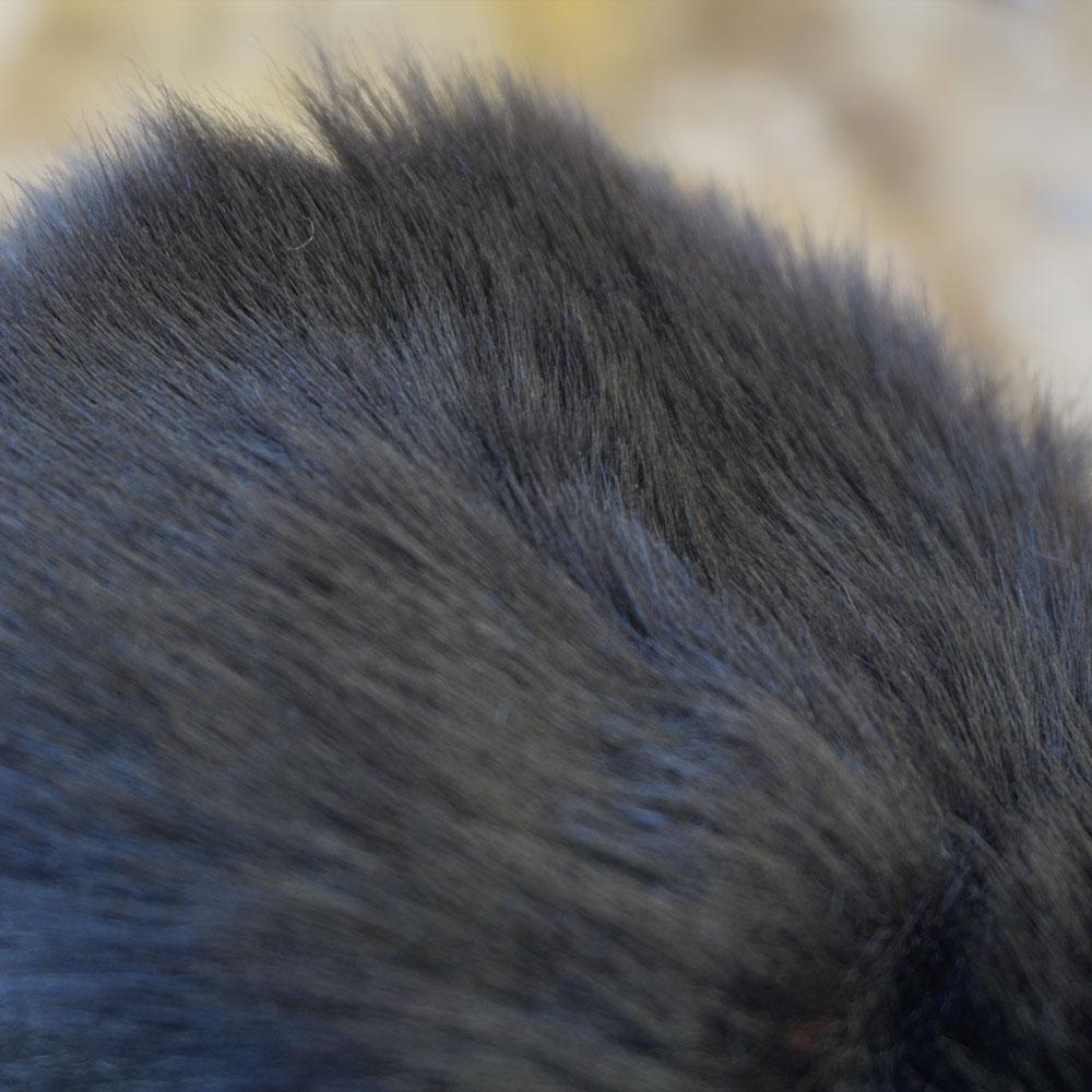 Headztrong Blackbear Ski Helmet Cover