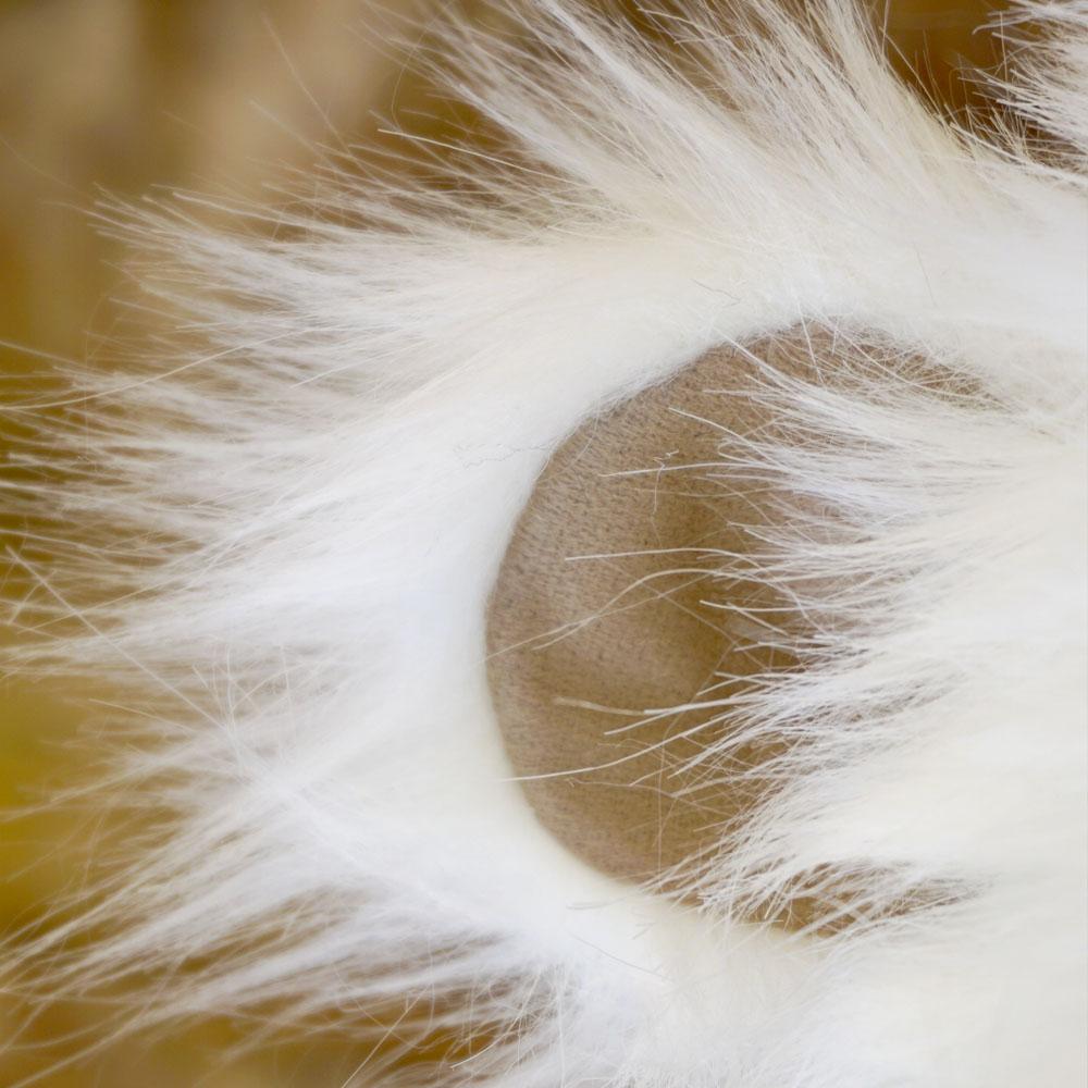 Headztrong Polar Bear Ski Helmet Cover