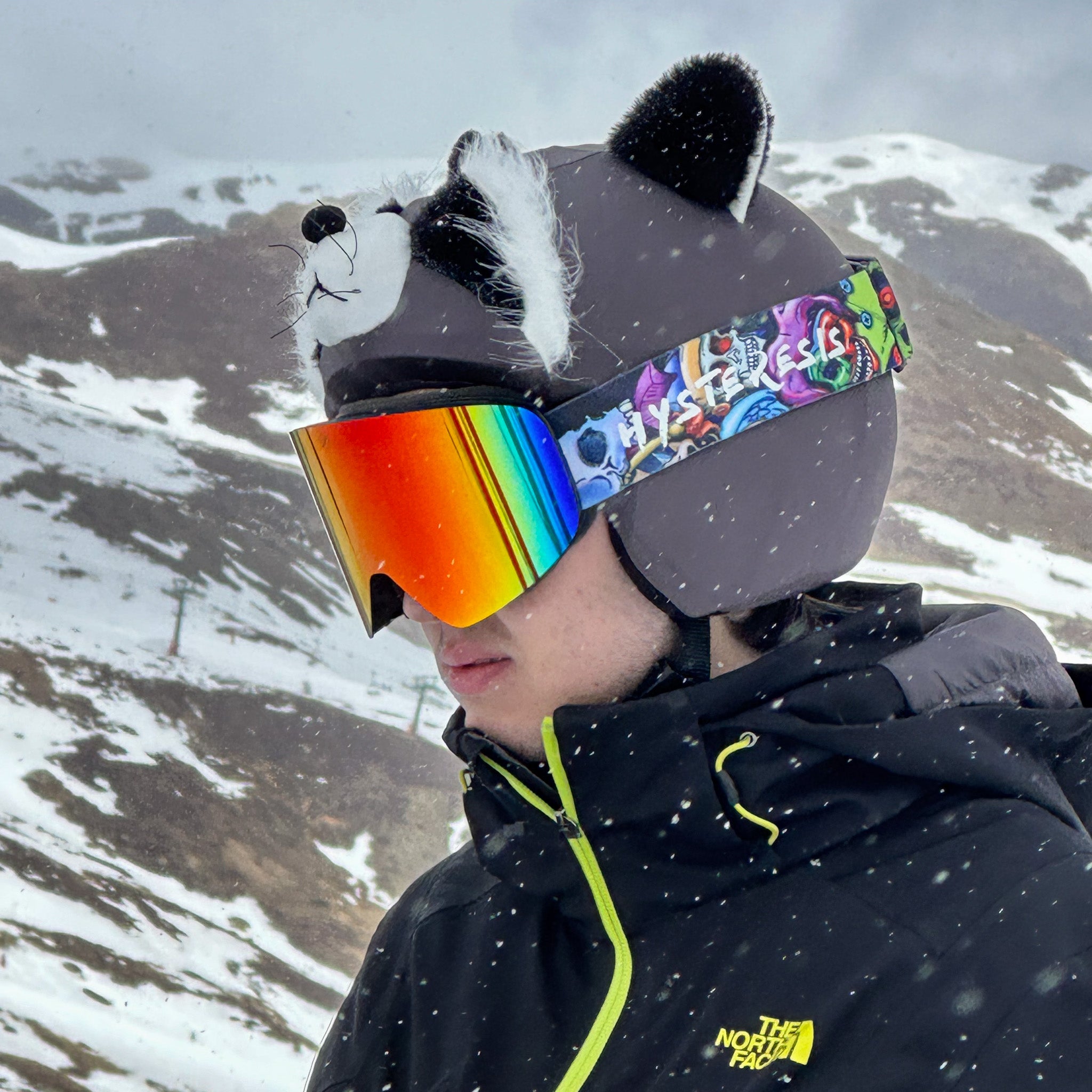 Coolcasc Racoon Helmet Cover