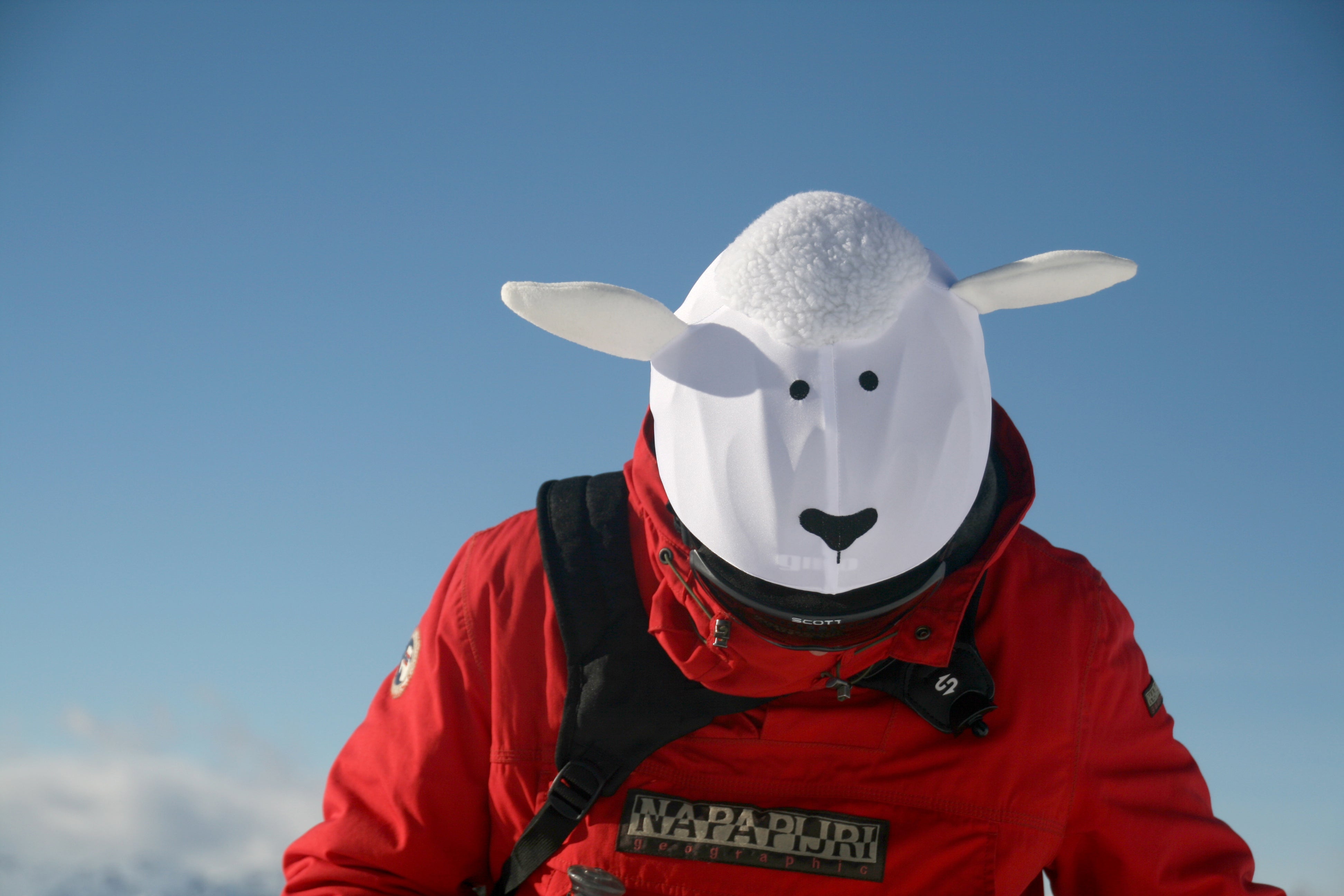 Coolcasc White Sheep Helmet Cover