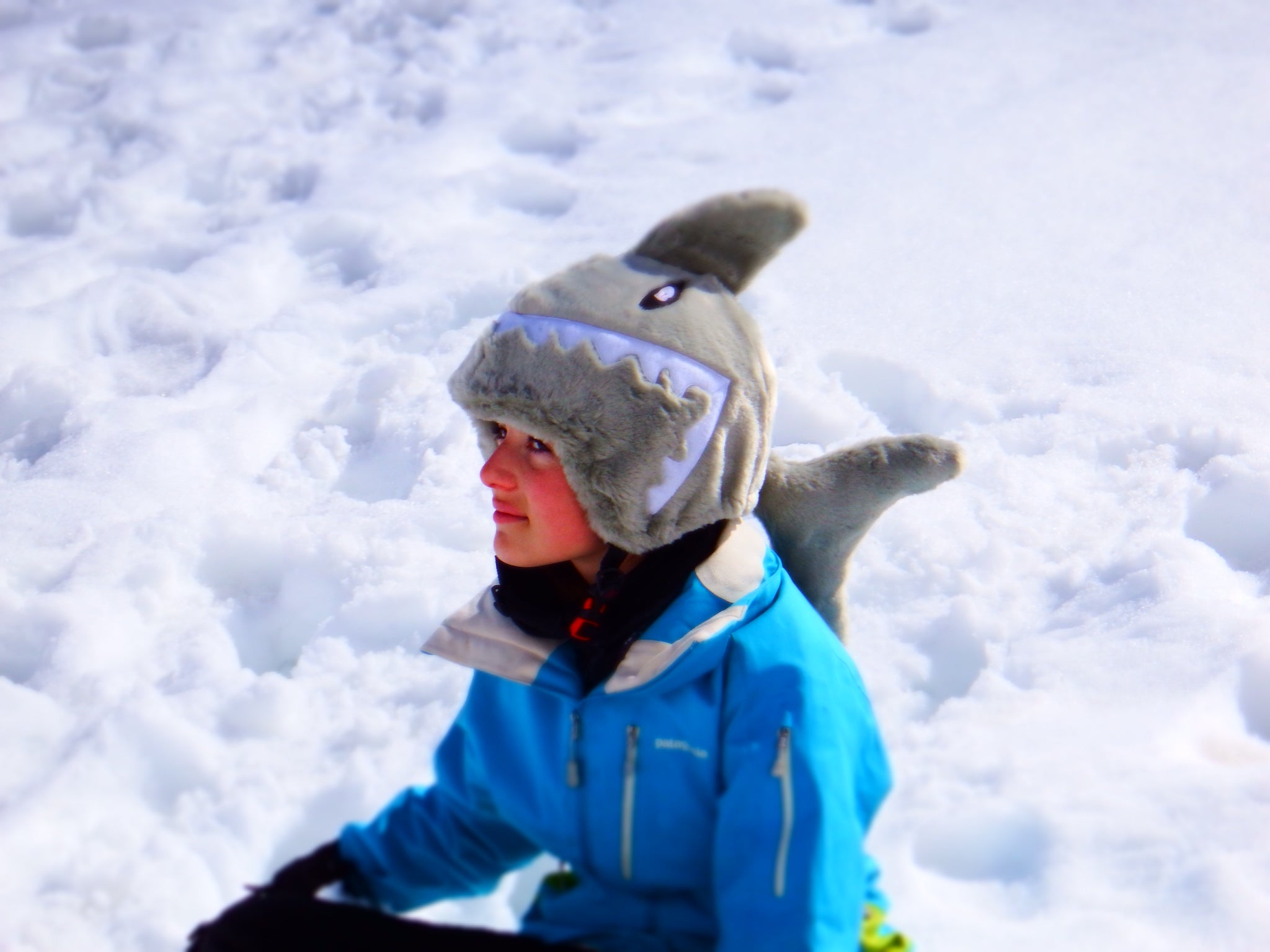 Headztrong Grey Shark Ski Helmet Cover